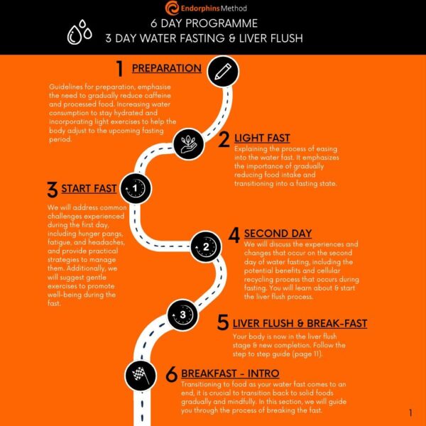 6 Day Fasting, Detox & Liver Flush Programme - Image 2